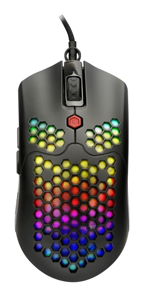 GT301_G25 (2)